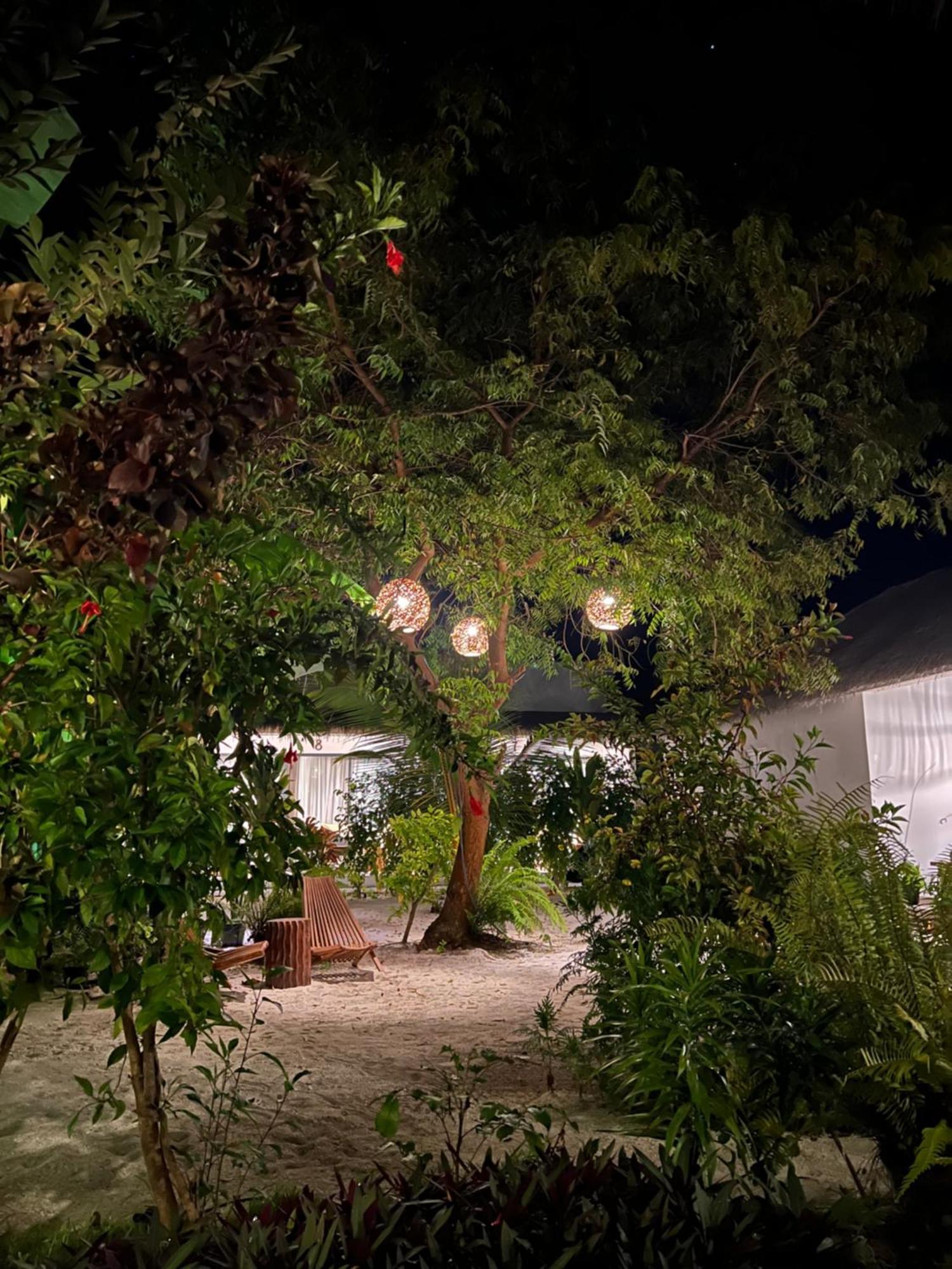 Coco Villa Thoddoo Buitenkant foto