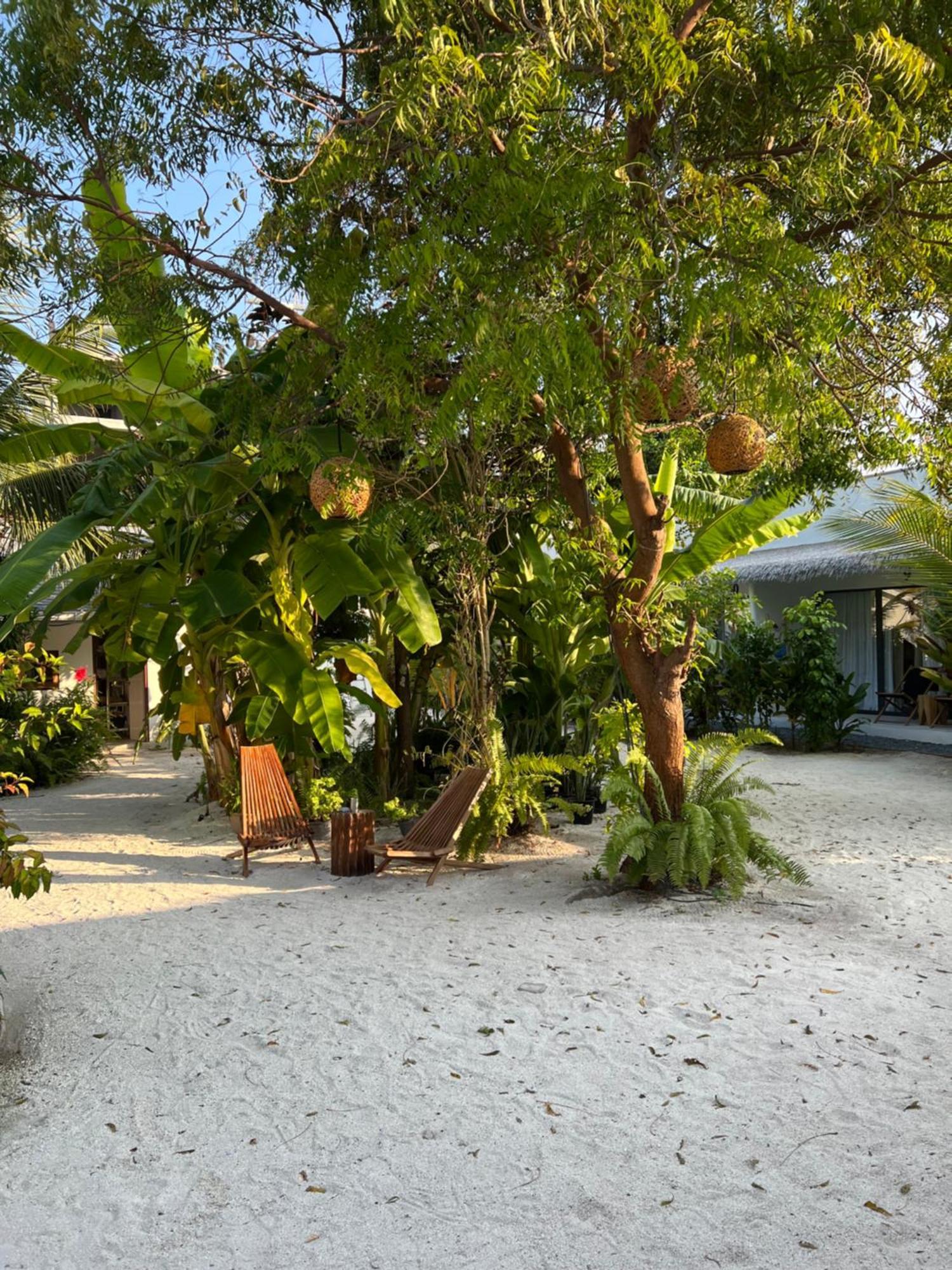 Coco Villa Thoddoo Buitenkant foto