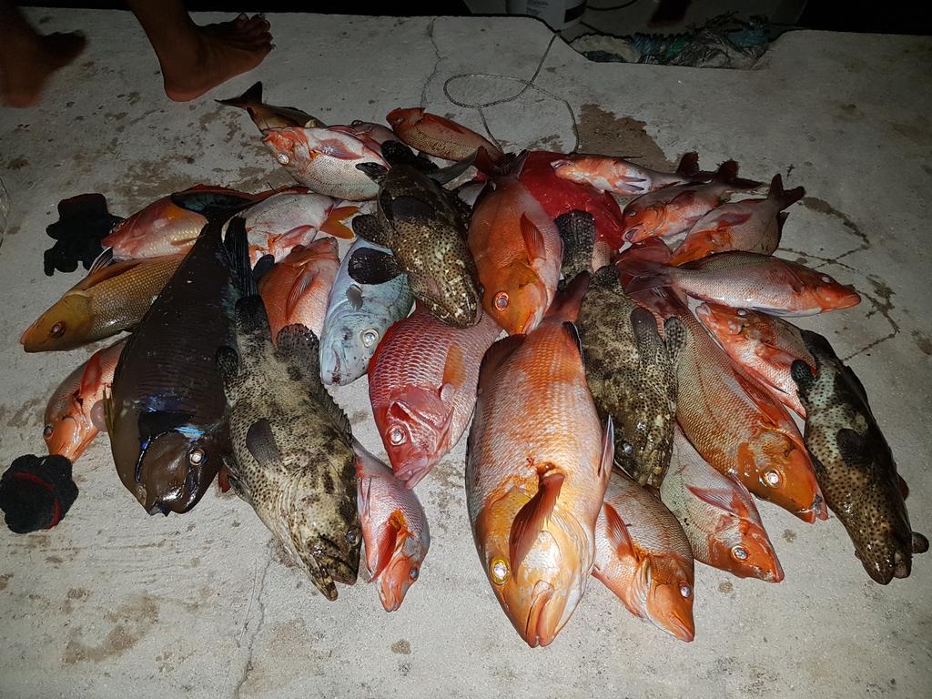 Coco Villa Thoddoo Buitenkant foto