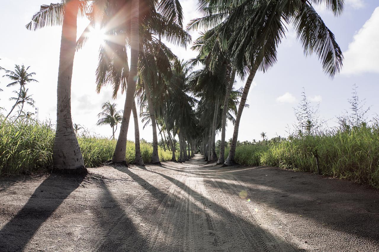 Coco Villa Thoddoo Buitenkant foto