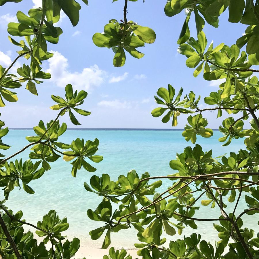 Coco Villa Thoddoo Buitenkant foto